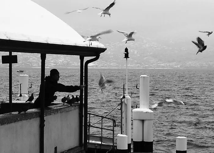 La Terrazza Vista * Bellano